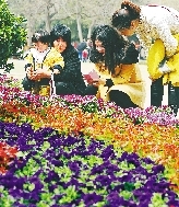 近距離才能拍得更真切。