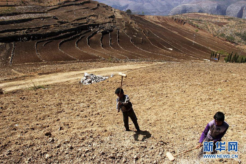 3月16日，在貴州省畢節(jié)市威寧縣斗古鄉(xiāng)中關村，兩個孩子幫助家人在干旱的土地上勞動。