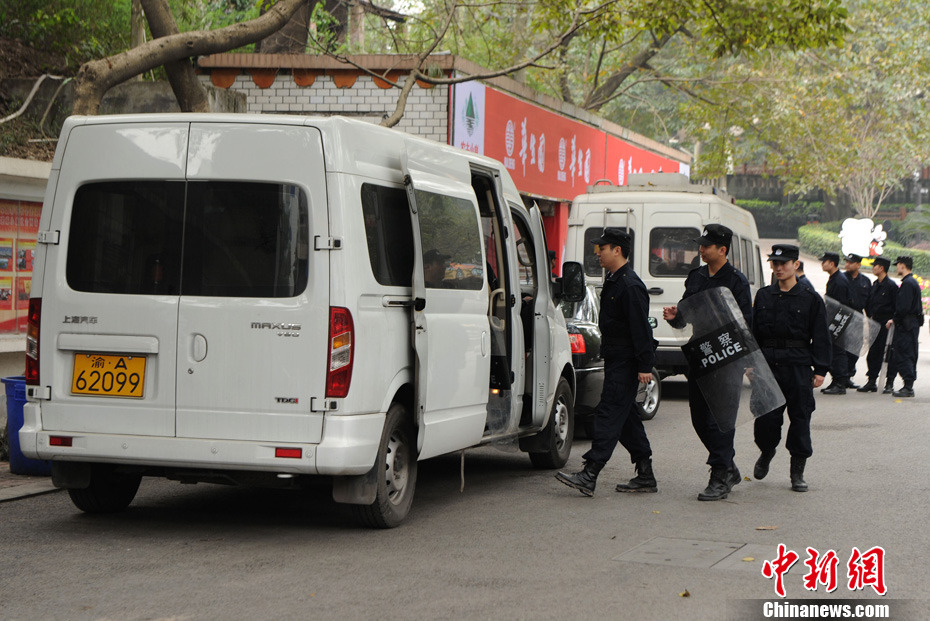 重慶動(dòng)物園兩頭獅子“越獄” 已被麻醉移至籠舍 重慶動(dòng)物園兩頭獅子“越獄” 已被麻醉移至籠舍