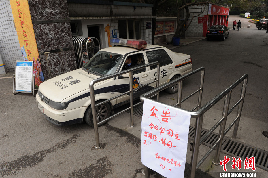 重慶動(dòng)物園兩頭獅子“越獄” 已被麻醉移至籠舍 重慶動(dòng)物園兩頭獅子“越獄” 已被麻醉移至籠舍