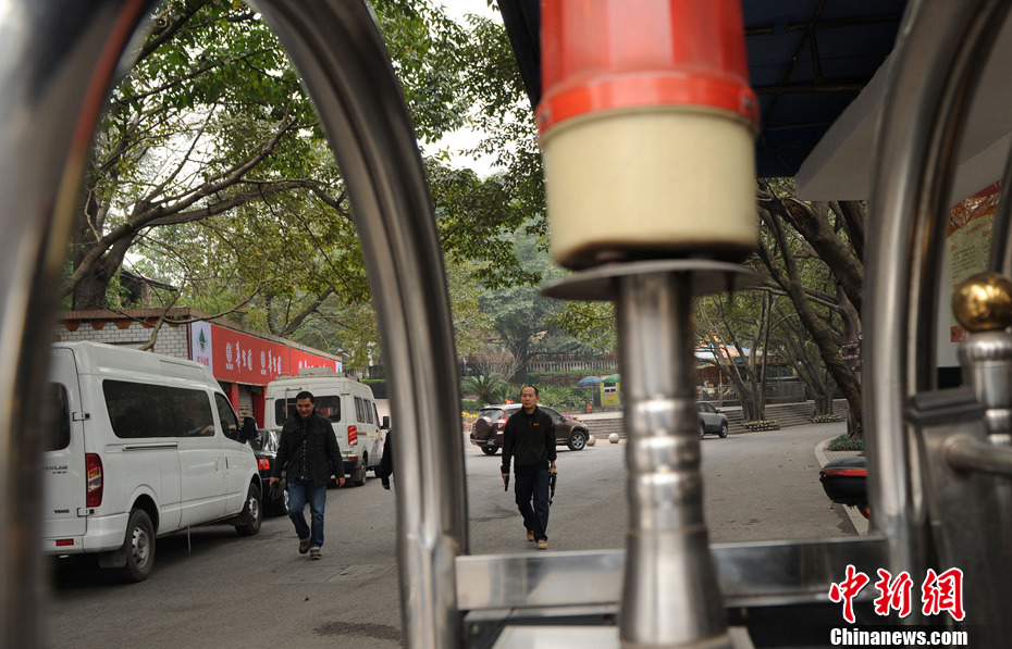 重慶動(dòng)物園兩頭獅子“越獄” 已被麻醉移至籠舍 重慶動(dòng)物園兩頭獅子“越獄” 已被麻醉移至籠舍