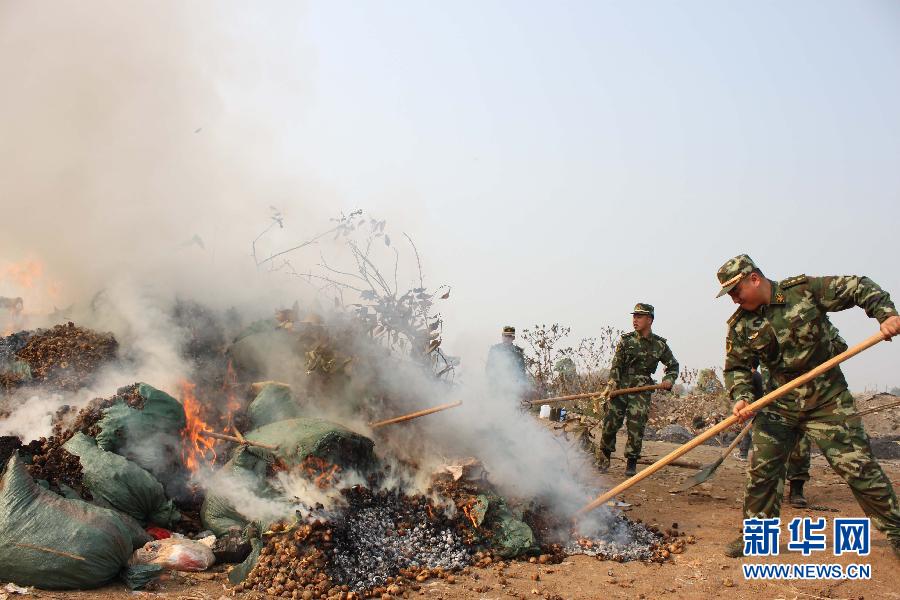 (法制)(1)云南盈江公開銷毀3.6噸罌粟殼 (法制)(1)云南盈江公開銷毀3.6噸罌粟殼