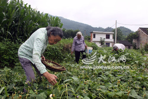 空巢老人自組大家庭養(yǎng)老 空巢老人自組大家庭養(yǎng)老