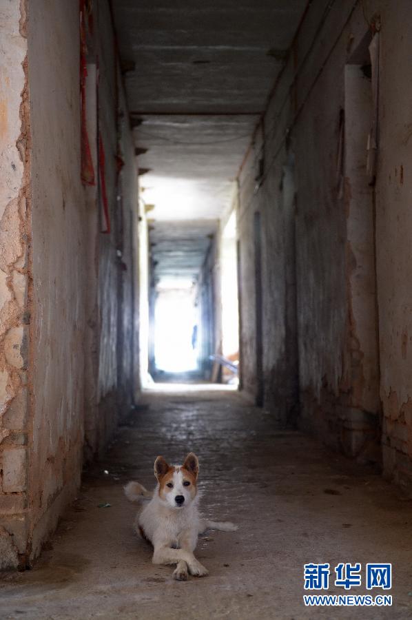 農(nóng)場棚戶區(qū)的最后留守家庭：留下的是回憶，迎來的是幸福