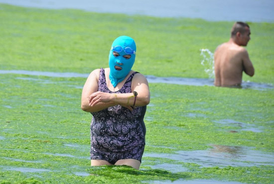 2013年7月3日，山東青島青島高溫來襲，“青島大媽”不懼滸苔，戴著“強(qiáng)盜面具”出現(xiàn)在海水浴場消暑降