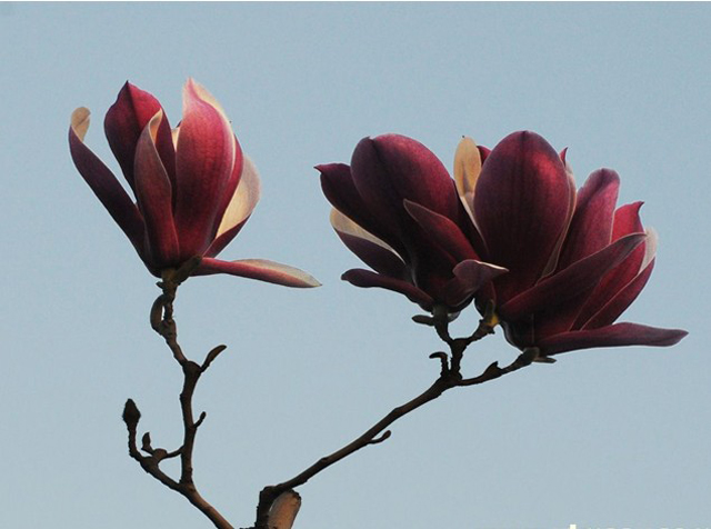 龍峪灣美景 龍峪灣美景