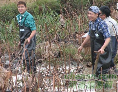 爸爸去哪兒？親密接觸荷花仙子