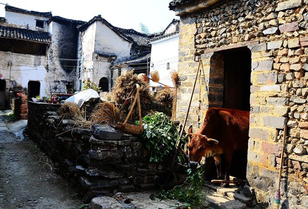 10大古村落，見證鶴壁舊時光