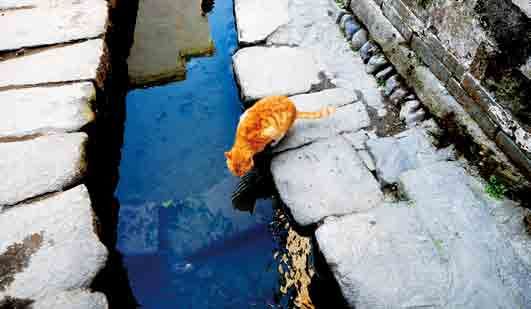 陽春三月赴江南 來一場(chǎng)春的約會(huì)