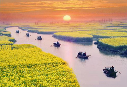 如何拍攝油菜花？達人教你7個拍攝技巧