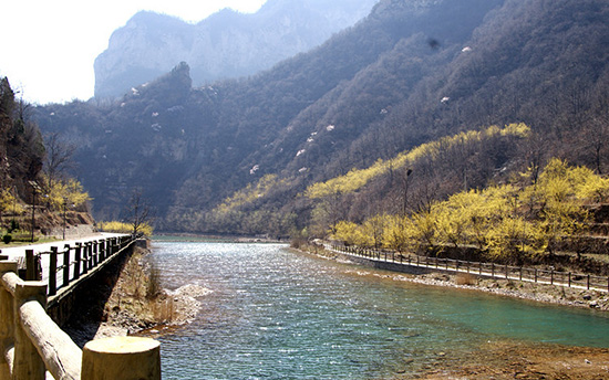 有一種呼喚，叫春天里的蟒河！