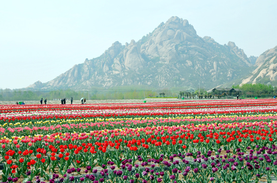 湖光山色這里都有 愛上“鄰家姑娘”嵖岈山 湖光山色這里都有 愛上“鄰家姑娘”嵖岈山