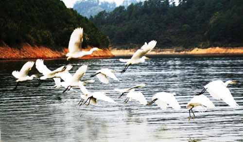 考完去哪兒？千島湖中、高考生門票大優(yōu)惠！