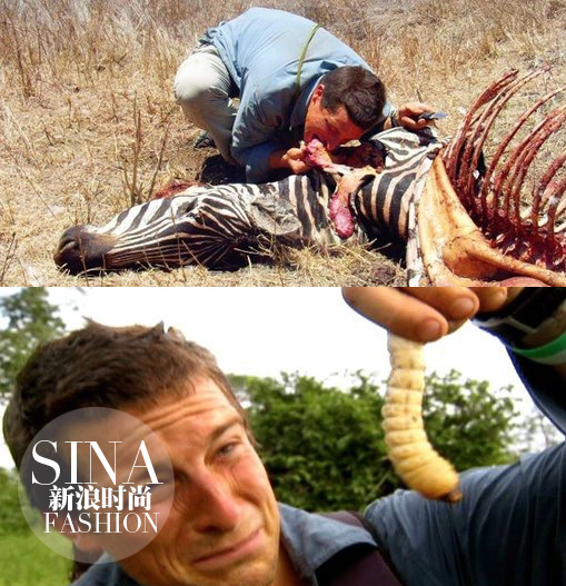 大型動物和肉蟲子……也都能生吞活剝！