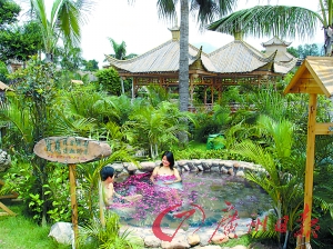 溫泉區(qū)樹木蔥蔥。