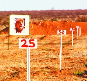 準(zhǔn)備工作 準(zhǔn)備工作