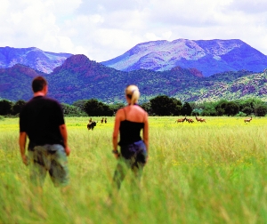 狩獵納米比亞 與動(dòng)物共舞 狩獵納米比亞 與動(dòng)物共舞