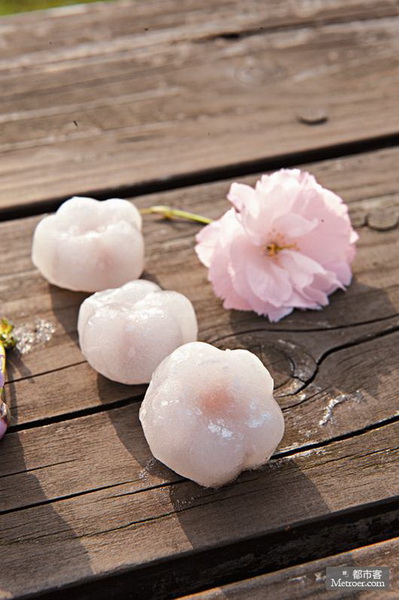 將櫻花放上舌尖 將櫻花放上舌尖