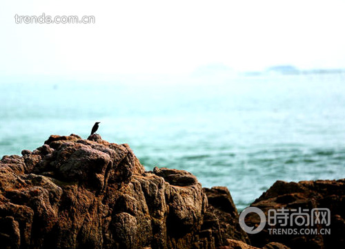 “騎”樂無(wú)窮 海岸線騎行不挑車型只挑心情 “騎”樂無(wú)窮 海岸線騎行不挑車型只挑心情