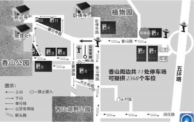 香山今起可“賞紅” 明遇重陽(yáng)節(jié)達(dá)高峰