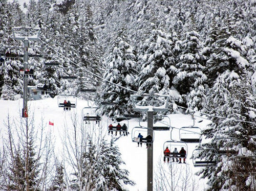 阿拉斯加，阿里耶斯卡