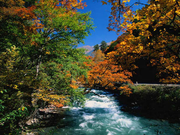 長白山豐林保護區(qū) 長白山豐林保護區(qū)