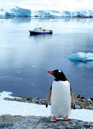 南極 深寒極限中的極限探險(xiǎn)