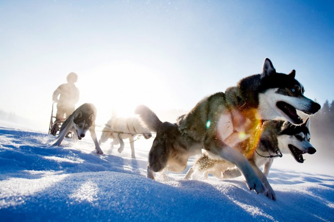 冬季貝加爾,適合享受冰上運(yùn)動,狗拉雪橇、雪上摩托車、雪地徒步等都是不錯(cuò)的選擇 F5.6,1/115秒