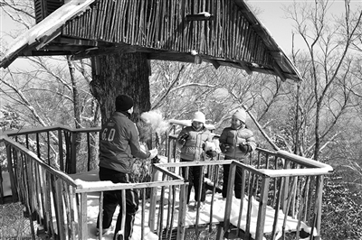 　　clubmed里有來(lái)自國(guó)外的滑雪教練教兒童滑雪?！? oldsrc=