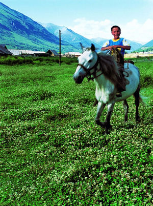 新疆禾木 隱居的云間部落 新疆禾木 隱居的云間部落