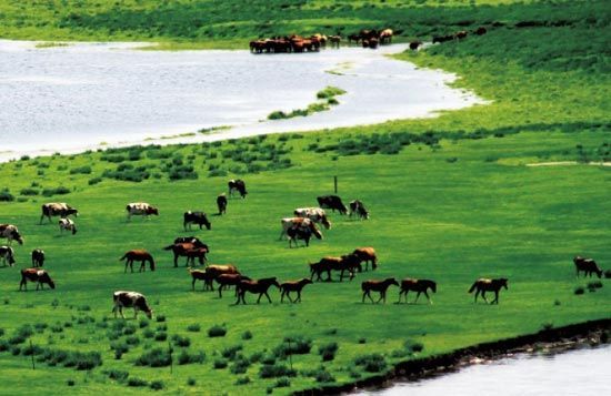 　　處處翠色欲流,馬兒自然入畫?！? complete=