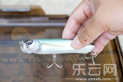 　　又稱擬餌釣魚,起源于歐洲,國內(nèi)翻譯為“路亞”。