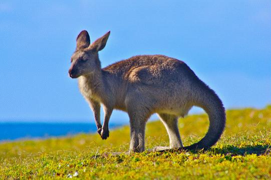 全家出國游去哪里？推薦十佳旅游勝地