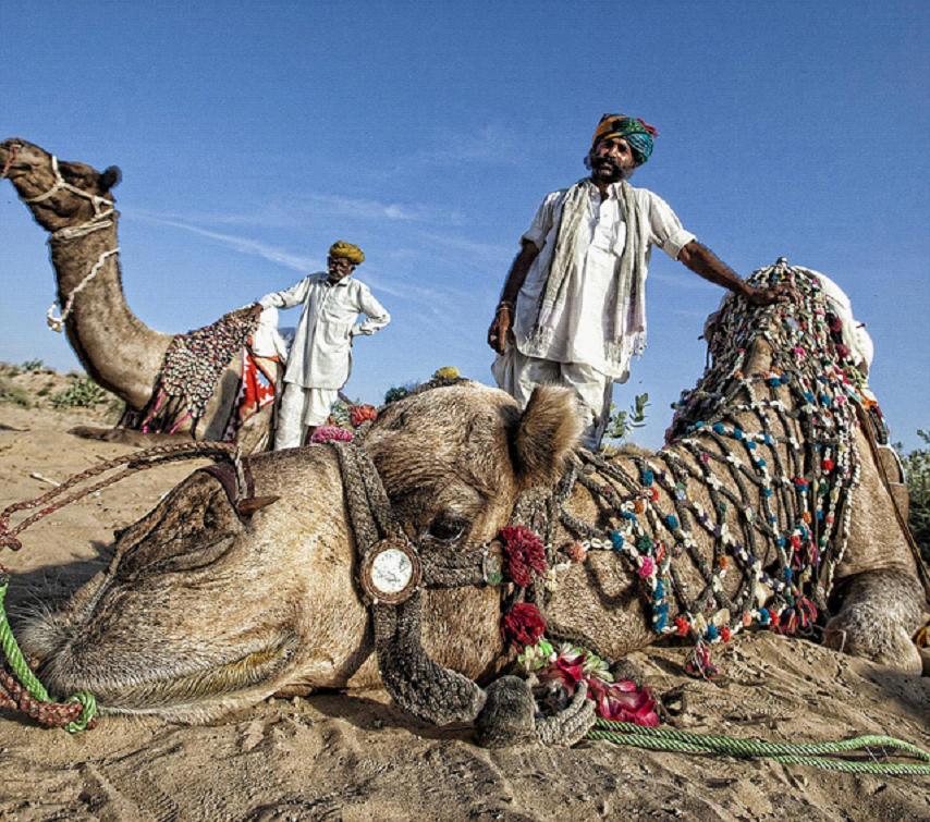 全家出國游去哪里？推薦十佳旅游勝地