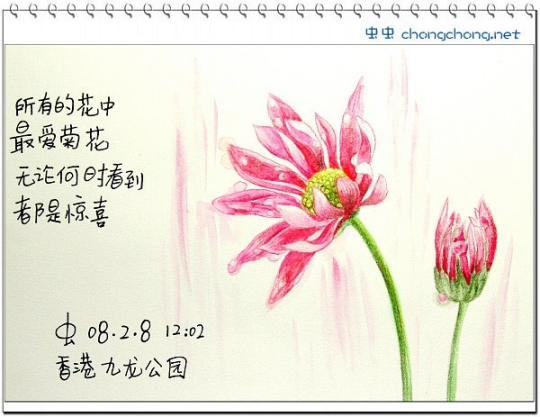 畫出來的旅行攻略——跟我去香港 畫出來的旅行攻略——跟我去香港