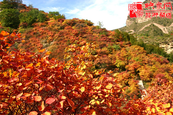2013第七屆中國·邢臺九龍峽金秋紅葉節(jié) 2013第七屆中國·邢臺九龍峽金秋紅葉節(jié)