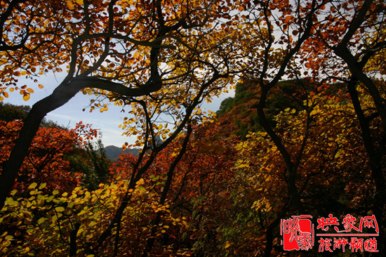 2013第七屆中國·邢臺九龍峽金秋紅葉節(jié) 2013第七屆中國·邢臺九龍峽金秋紅葉節(jié)
