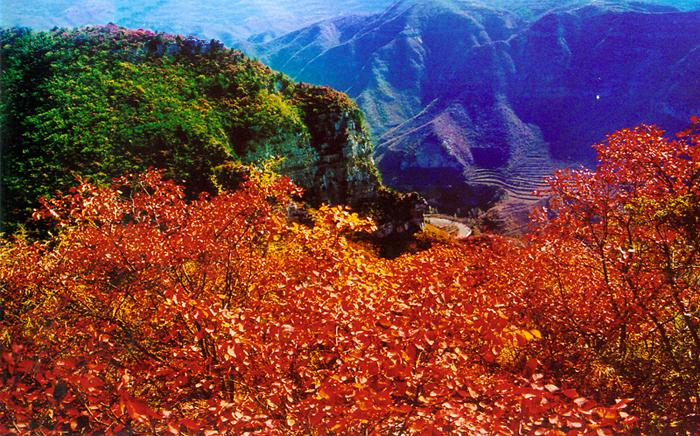 坐豪華游船惠游青天河 紅葉最后觀賞期莫錯(cuò)過(guò)