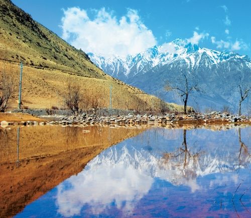 讓心靈遠游 讓心靈遠游