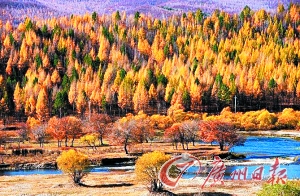 　　呼倫貝爾秋色。