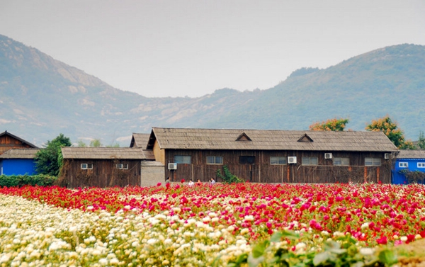 別樣蜜月，河南最適宜新婚度假的景區(qū)