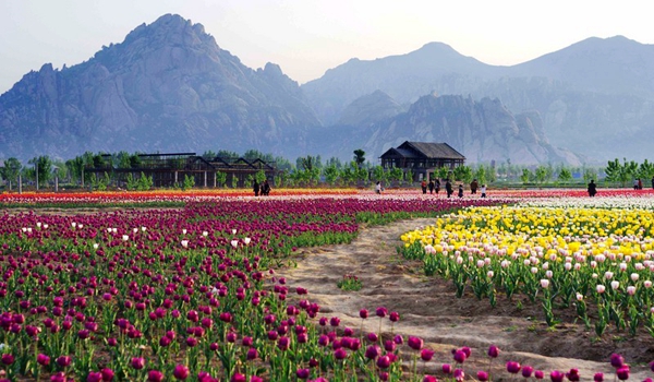 別樣蜜月，河南最適宜新婚度假的景區(qū)