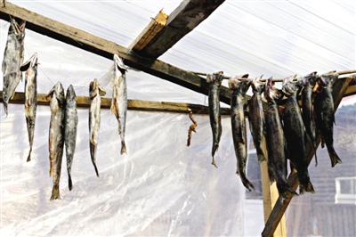 長(zhǎng)白山腳下一家小餐館內(nèi)晾曬的冷水魚。