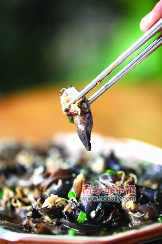 蒜蓉粉絲蒸蝸牛。