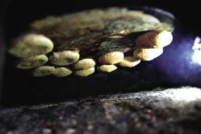 吊爐燒餅是黃驊最典型的面食之一，這種手藝在一些老院子里已經(jīng)傳承了上百年時間。