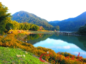 初冬的石門森林公園色彩絢爛。
