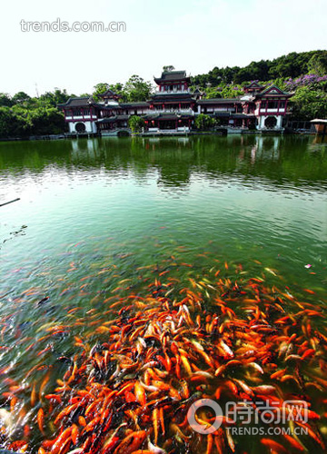 出道晚卻誘惑大 體驗?zāi)蠈幍乃崂弊涛? width=