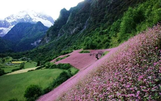 云南的另一個(gè)天堂 我約你一起去！