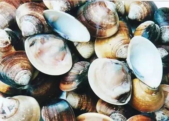 秋季最適合吃的海鮮是這10種 你吃對了嗎？