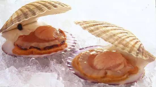 秋季最適合吃的海鮮是這10種 你吃對了嗎？